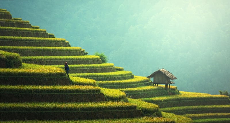 Sustainable Design