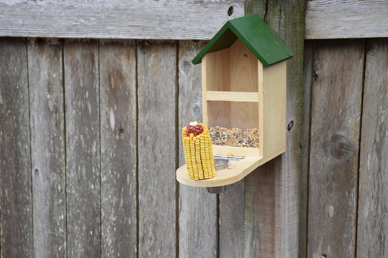 Toilet Paper Roll Bird Feeders